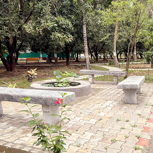 Lotus Pond