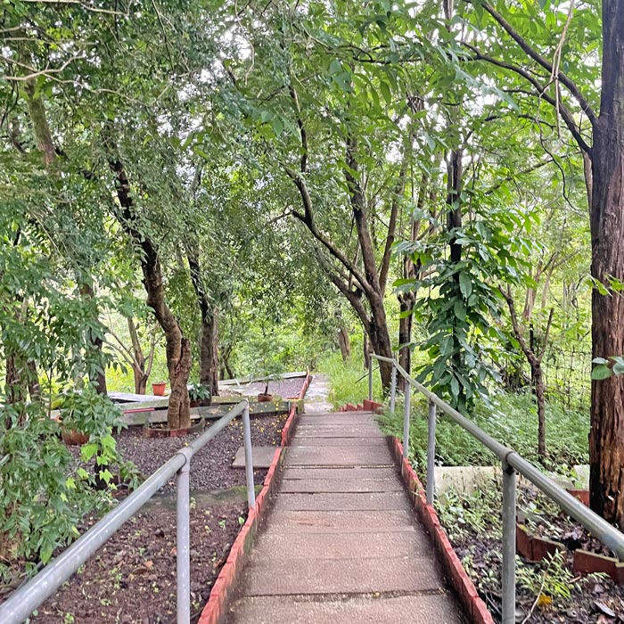 YSS Pune Retreat – Canopied Walkways