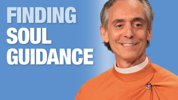 Finding Soul Guidance to Navigate the Maze of Life’s Experiences by Swami Sevananda Giri