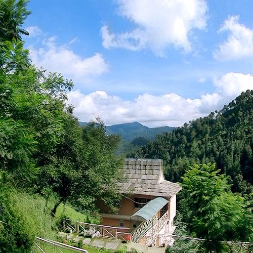 Shimla Retreat Scenic Surroundings 1