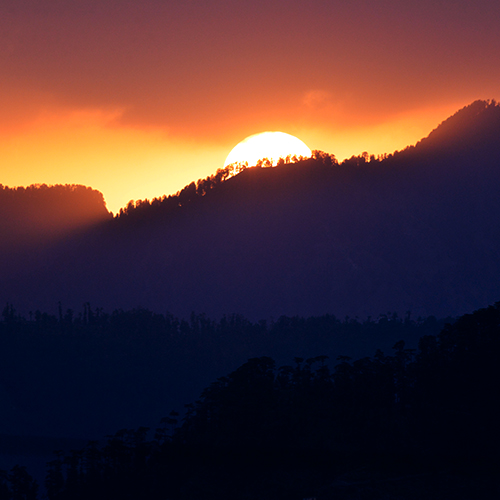 Shimla Retreat Scenic Surroundings 2