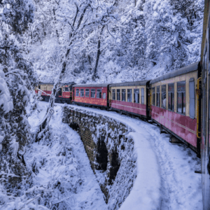 Shimla Toy Train