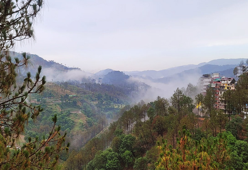 YSS Shoolini Camp 2026 - Nature Backdrop - Hills
