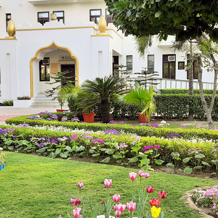 YSS Noida Ashram – Flowers and Lush Green Lawns