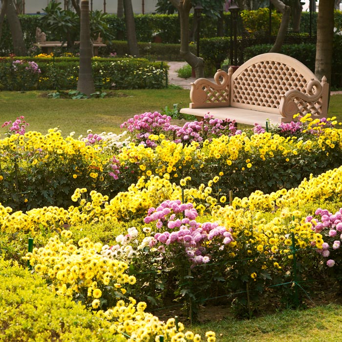 YSS Noida Ashram – Garden with Meditation Bench
