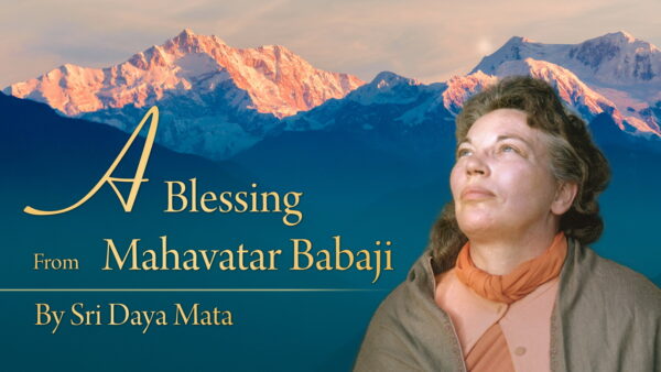 A Blessing From Mahavatar Babaji by Sri Sri Daya Mata