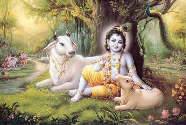 bhagavan-krishna-vrindavan-photo-regular-yss-front.jpg