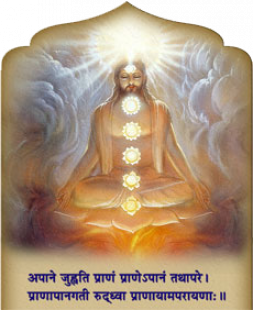 Reference of Kriya Yoga in the Bhagavad Gita Reference of Kriya Yoga in the Bhagavad Gita