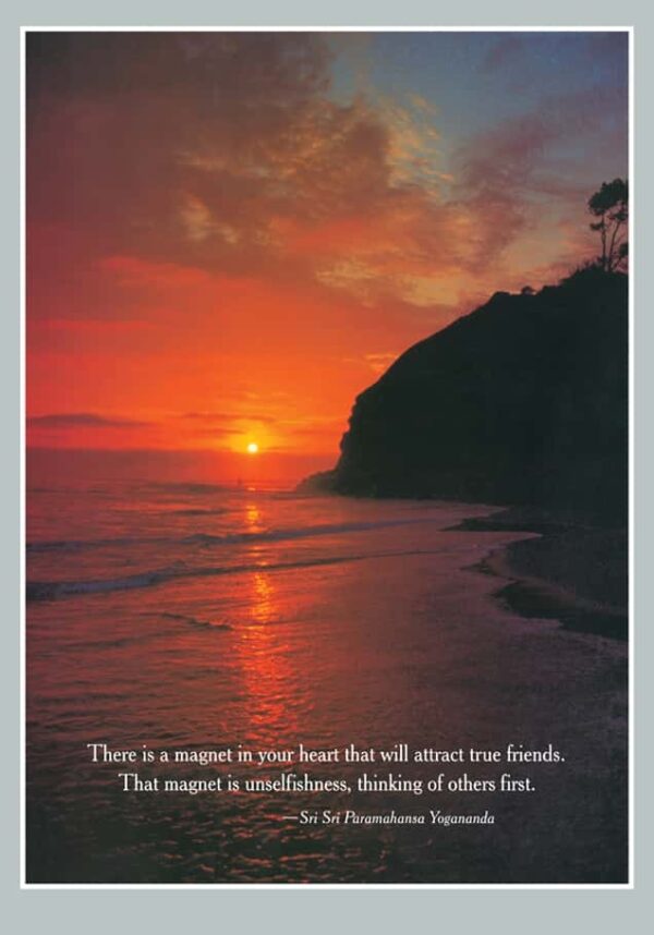 friendship-photo-regular-yss-front.jpg